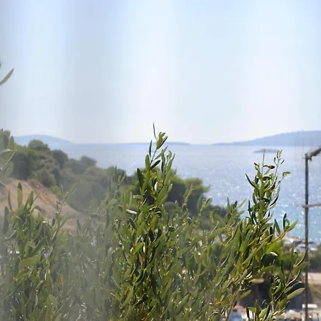 Summer Near The Sea *